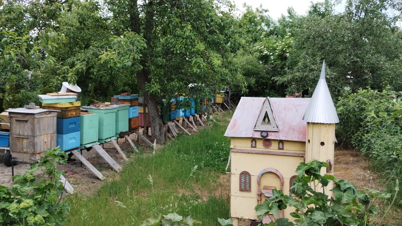 Przepyszny miód z własnej pasieki. Naturalny w 100%.