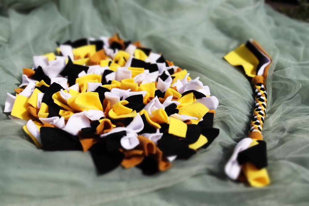 ZwierzoBox - mata węchowa i szarpak dla psa