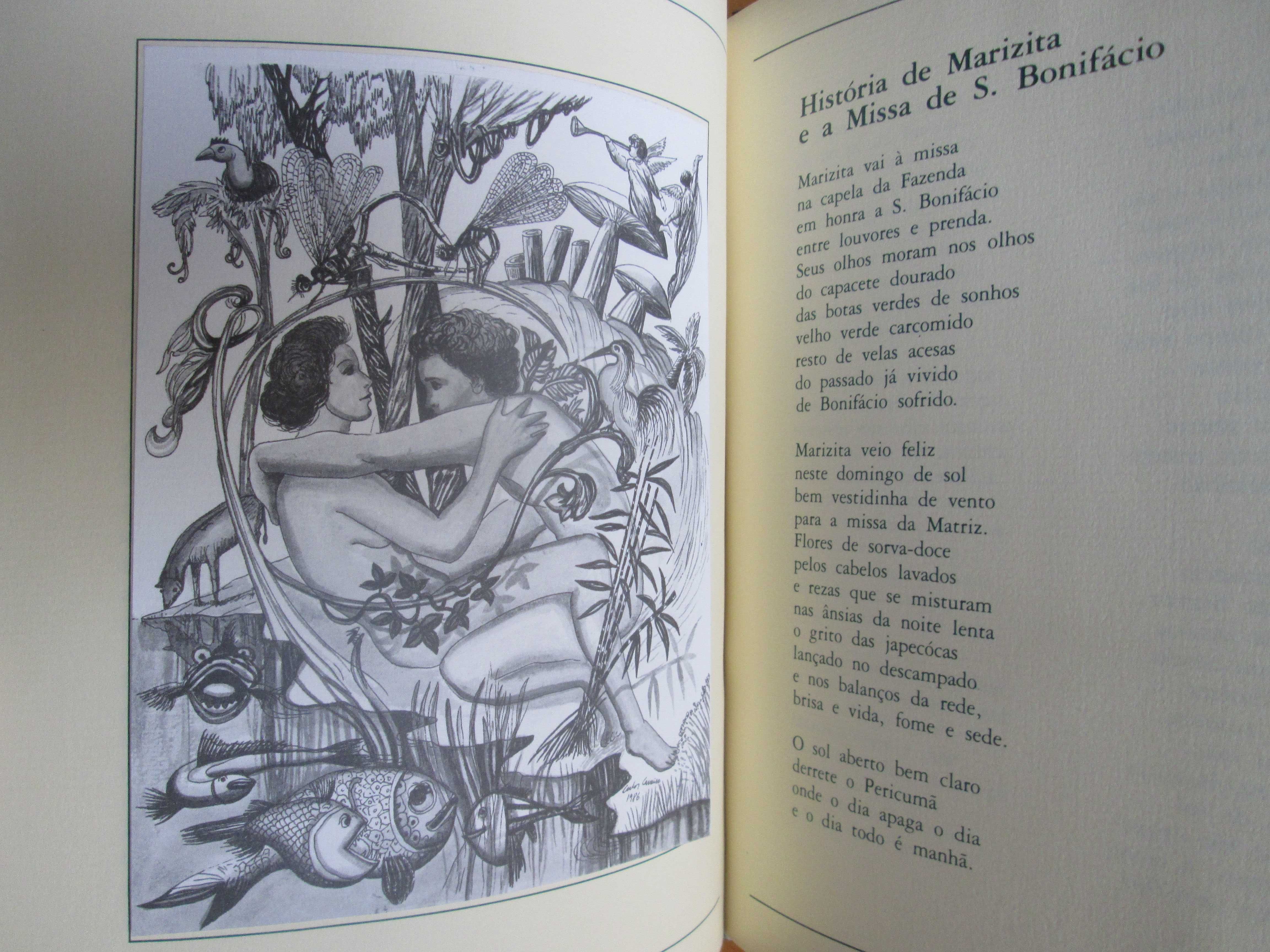 Maribondos de Fogo, de José Sarney - edição especial assinada
