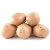 Продається насіння картоплі сорту Мирослава