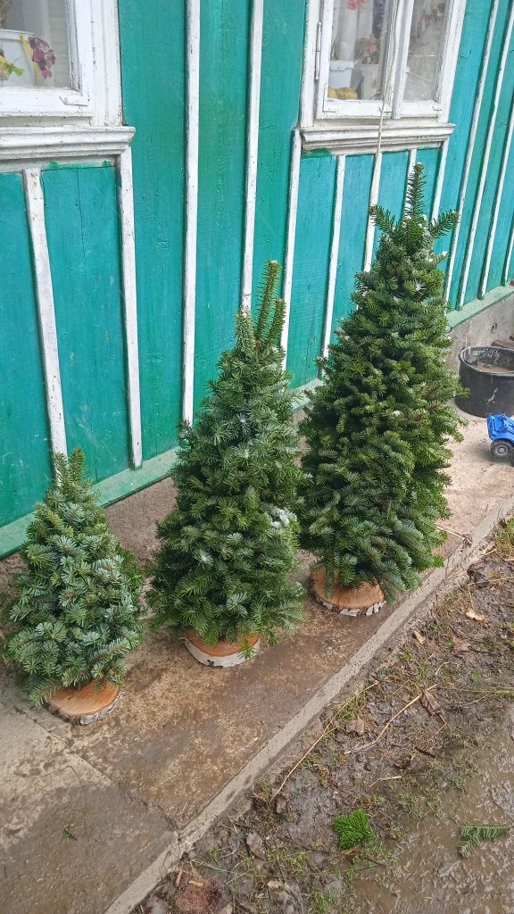 Продається в'язана ялинка різних розмірів