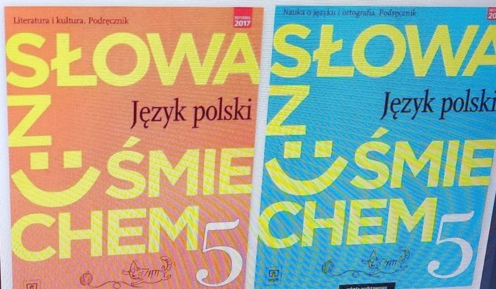 Język polski  klasa 5 wsip