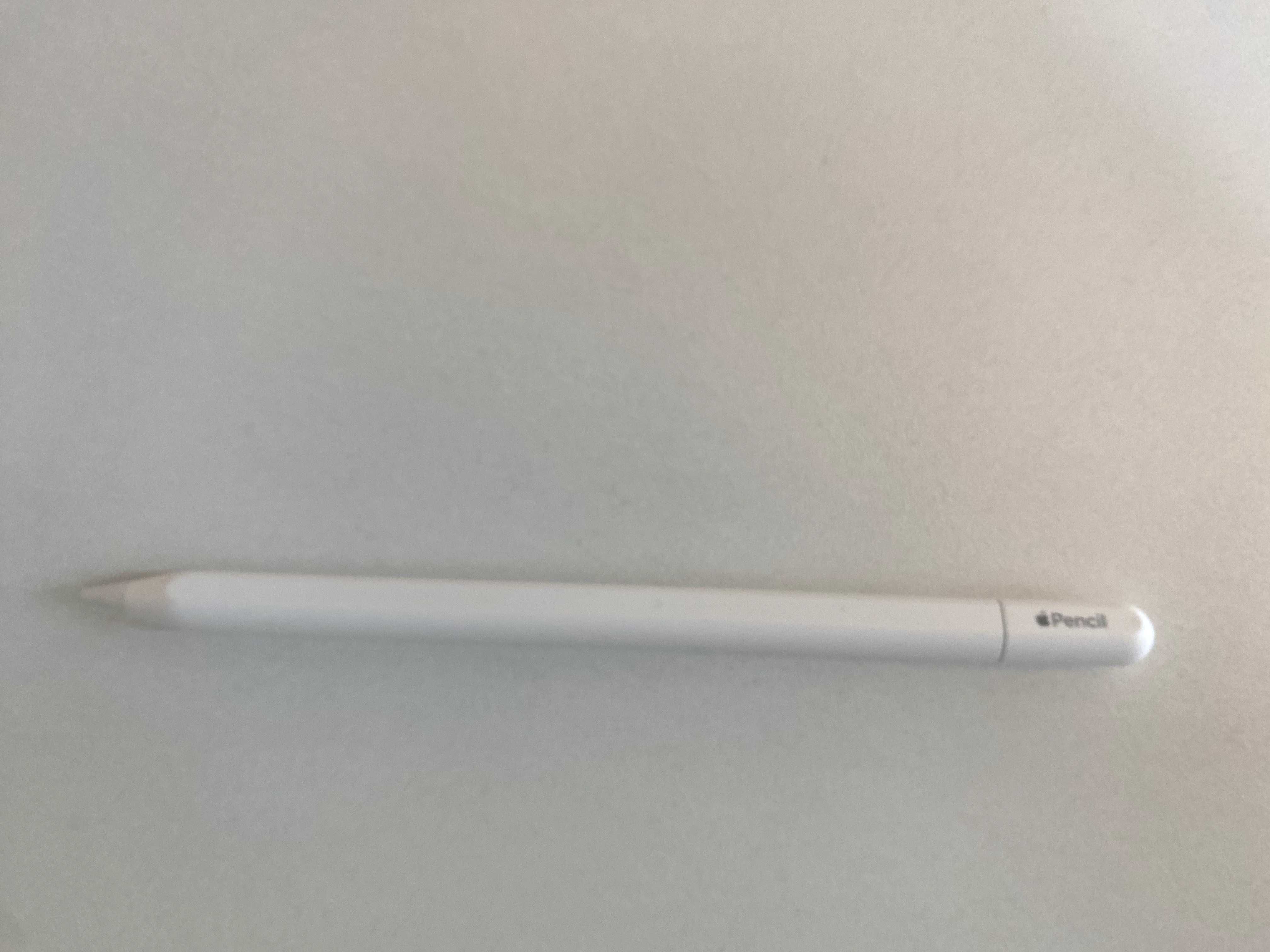 Ipad Mini (6th Generation) com Apple Pencil (USB-C) - 256 GB