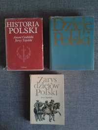 Historia Polski, Dzieje Polski, Zarys dziejów Polski