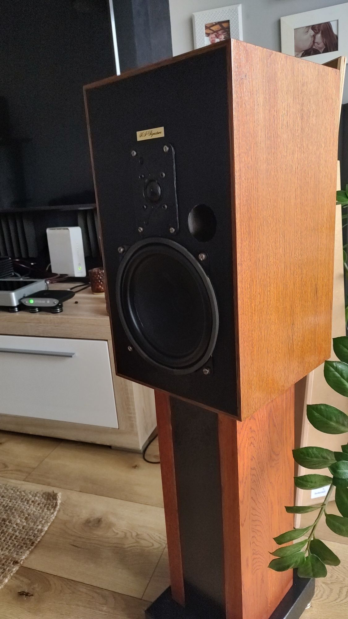 Monitory studyjne KS kucke linea b50
