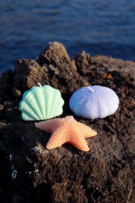 Conjunto decorativo do mar | Azorean Spirit