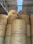 Sprzedam bele 125 z prasy Krone