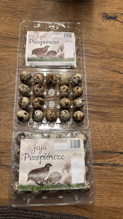Jaja przepiorek (swieze 1-4 dniowe)