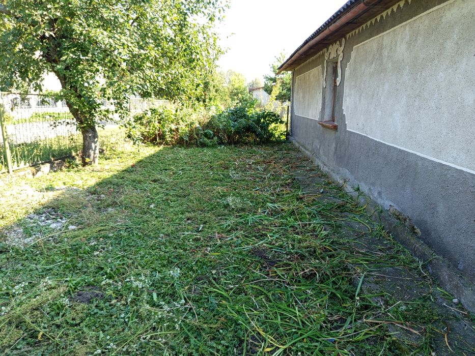 Косіння трави, покіс трави рубка дров, порізка патиків. Зачистка