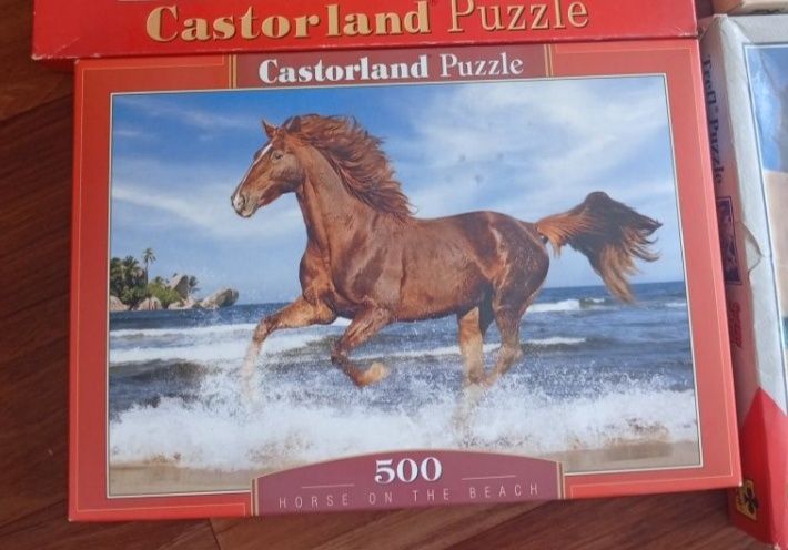 Пазл. Castor land