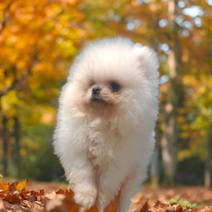 Мальчишка бусинка