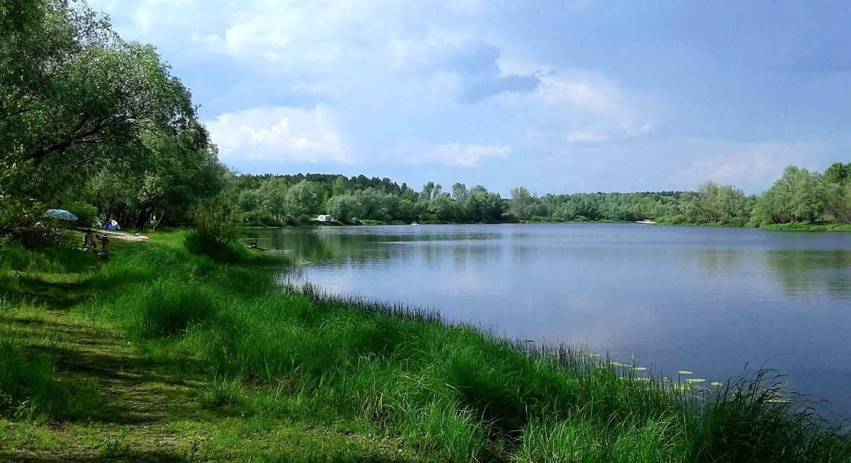 Продам дачу на Десні у Вишгородському районі
