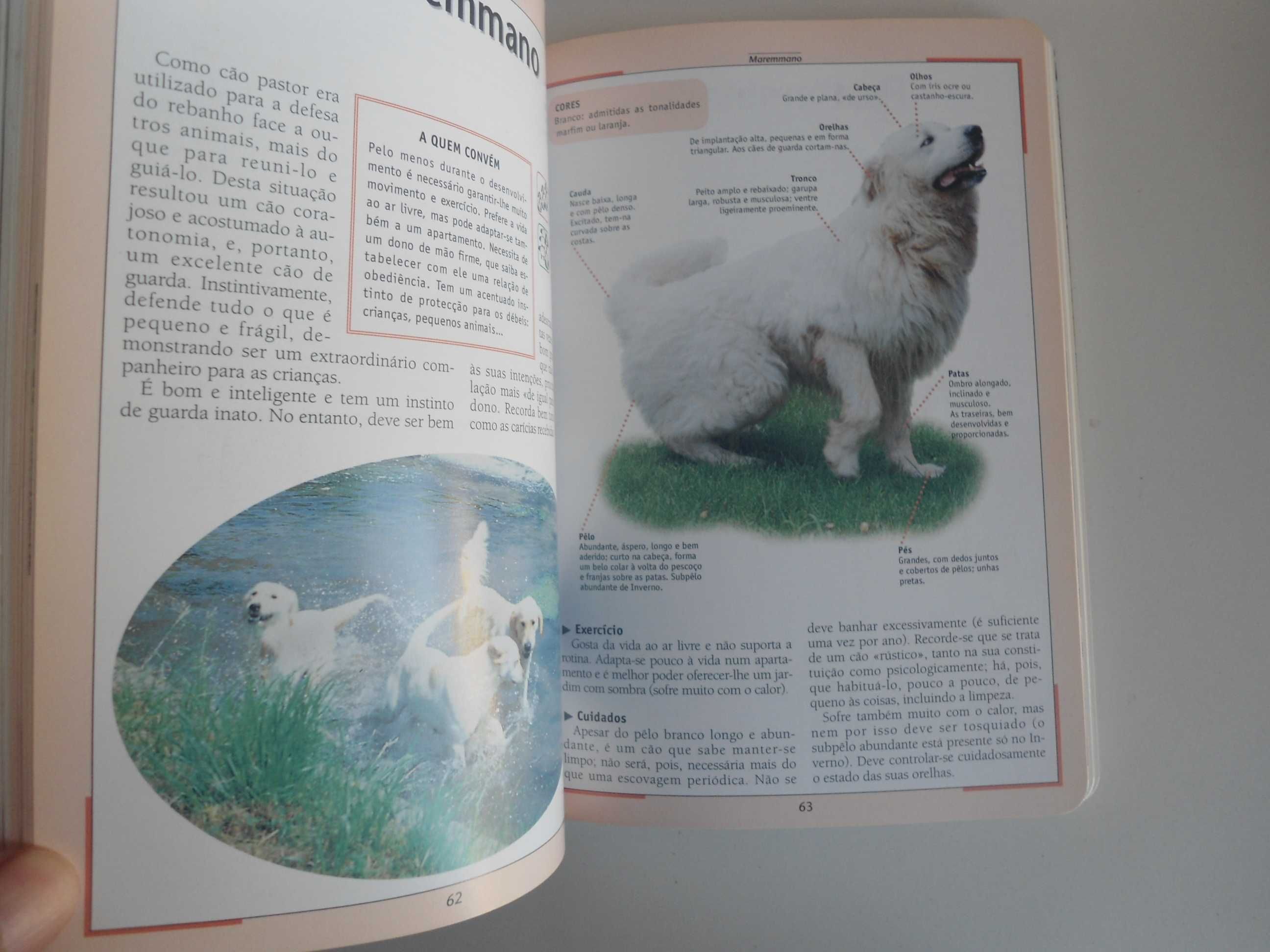 Livro: Cuidado e adestramento do cão