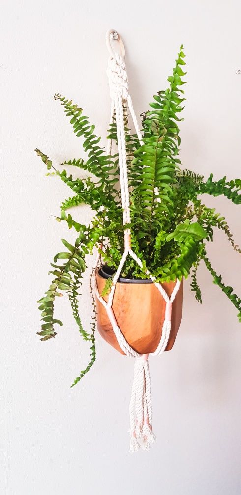 Suporte para Plantas em Macramé