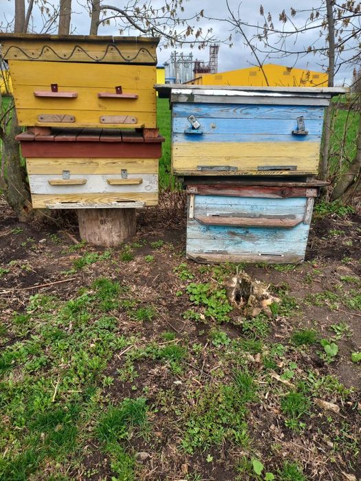 Вулик лежак 24рамочний