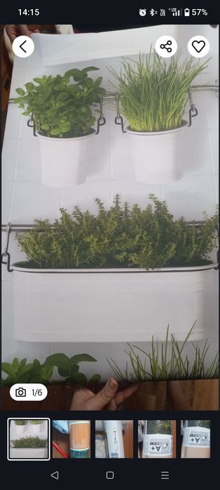 6 rolek tapety w rosliny