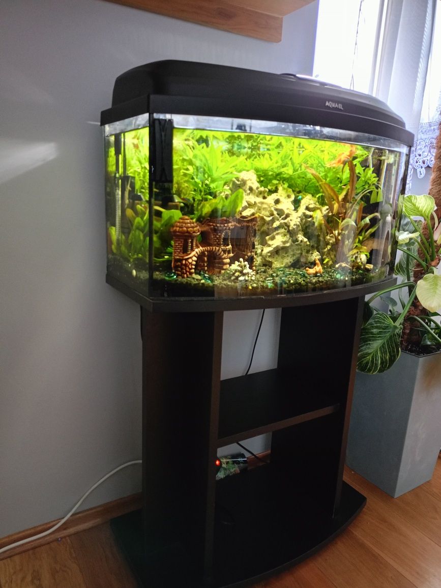 Akwarium 55l z osprzętem