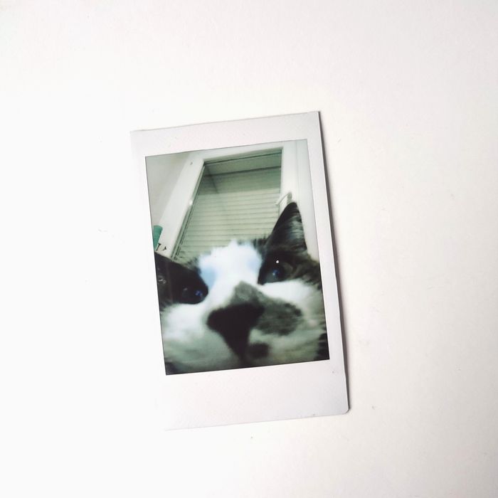 Polaroids personalizadas