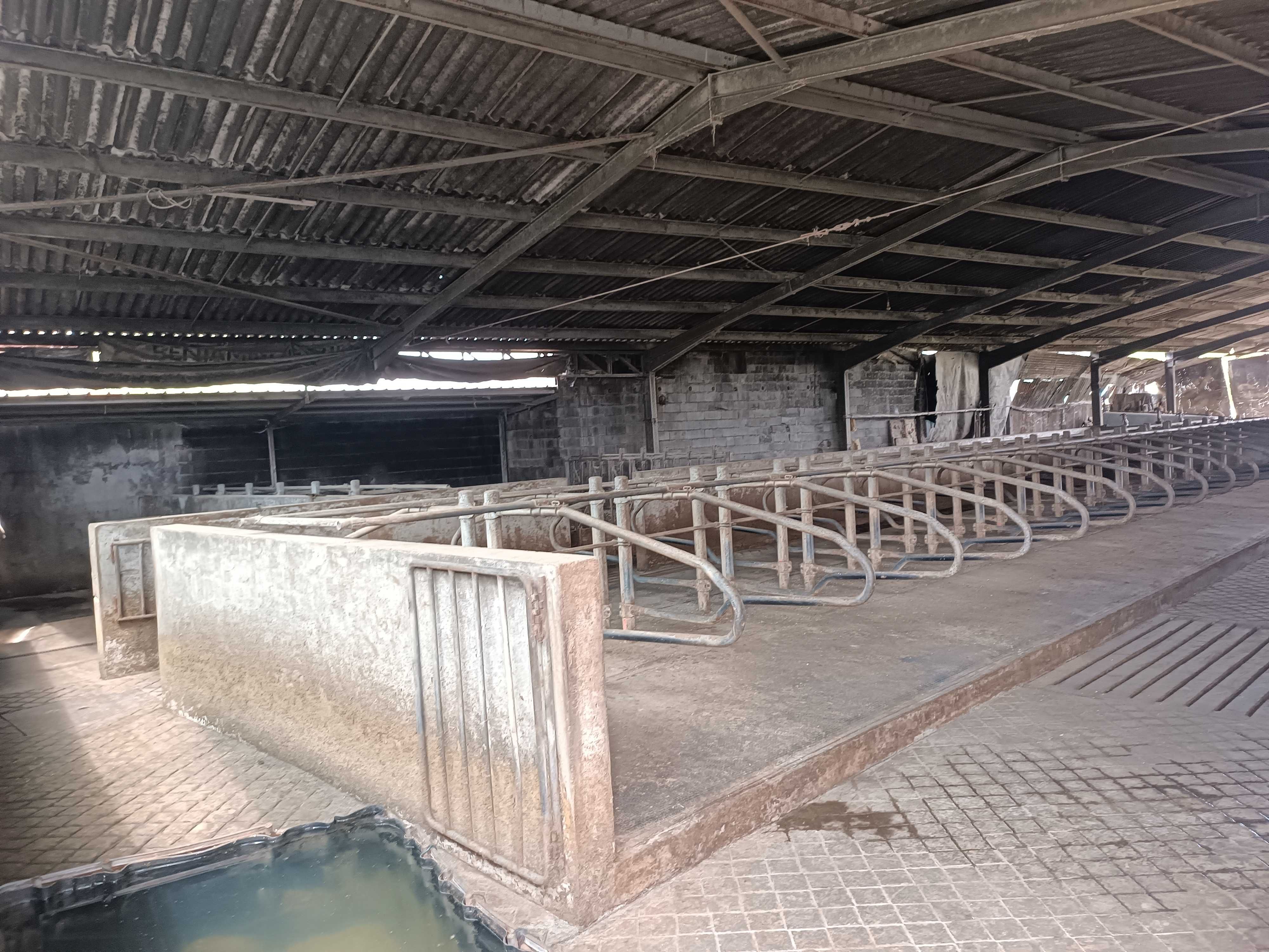 Venda de Equipamentos de Estábulo e Sala de Ordenha