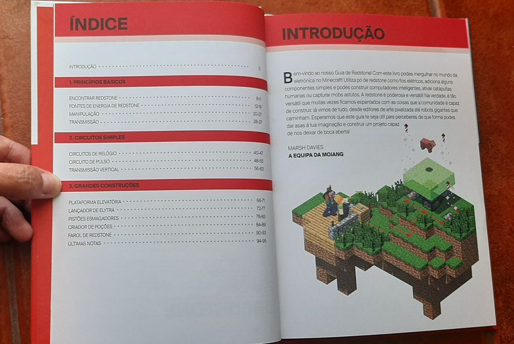Minecraft - portes incluídos