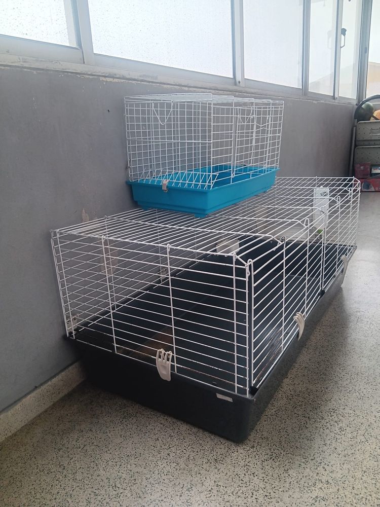 Gaiola para coelho