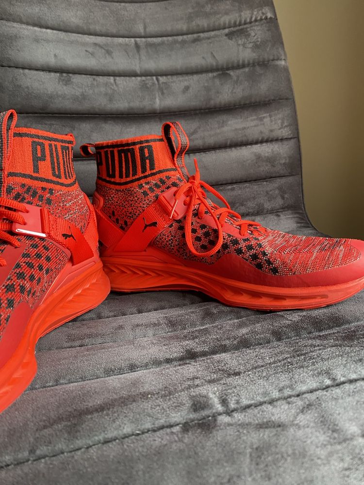 Puma ignite EVOknit Red