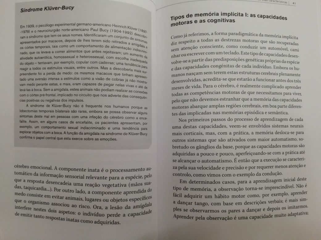 Somos a nossa memória, recordar e esquecer