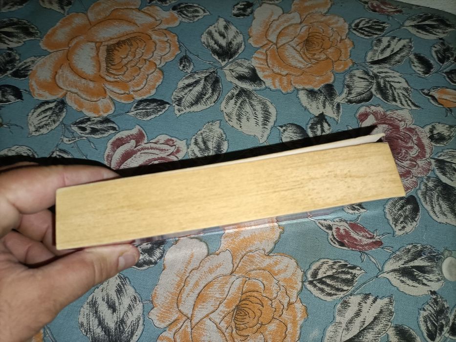 Uma família inglesa_Júlio Dinis