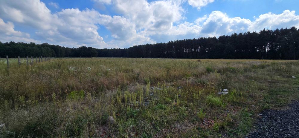 sprzedam działkę budowlaną w m. Lipno pod Niemodlinem woj. opolskie