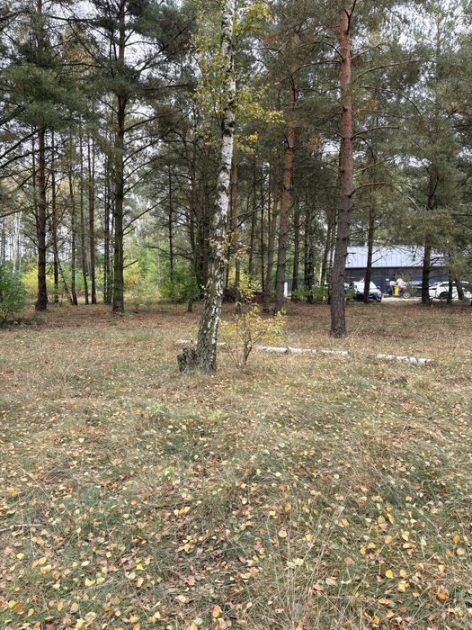 Działka budowlana z WZ