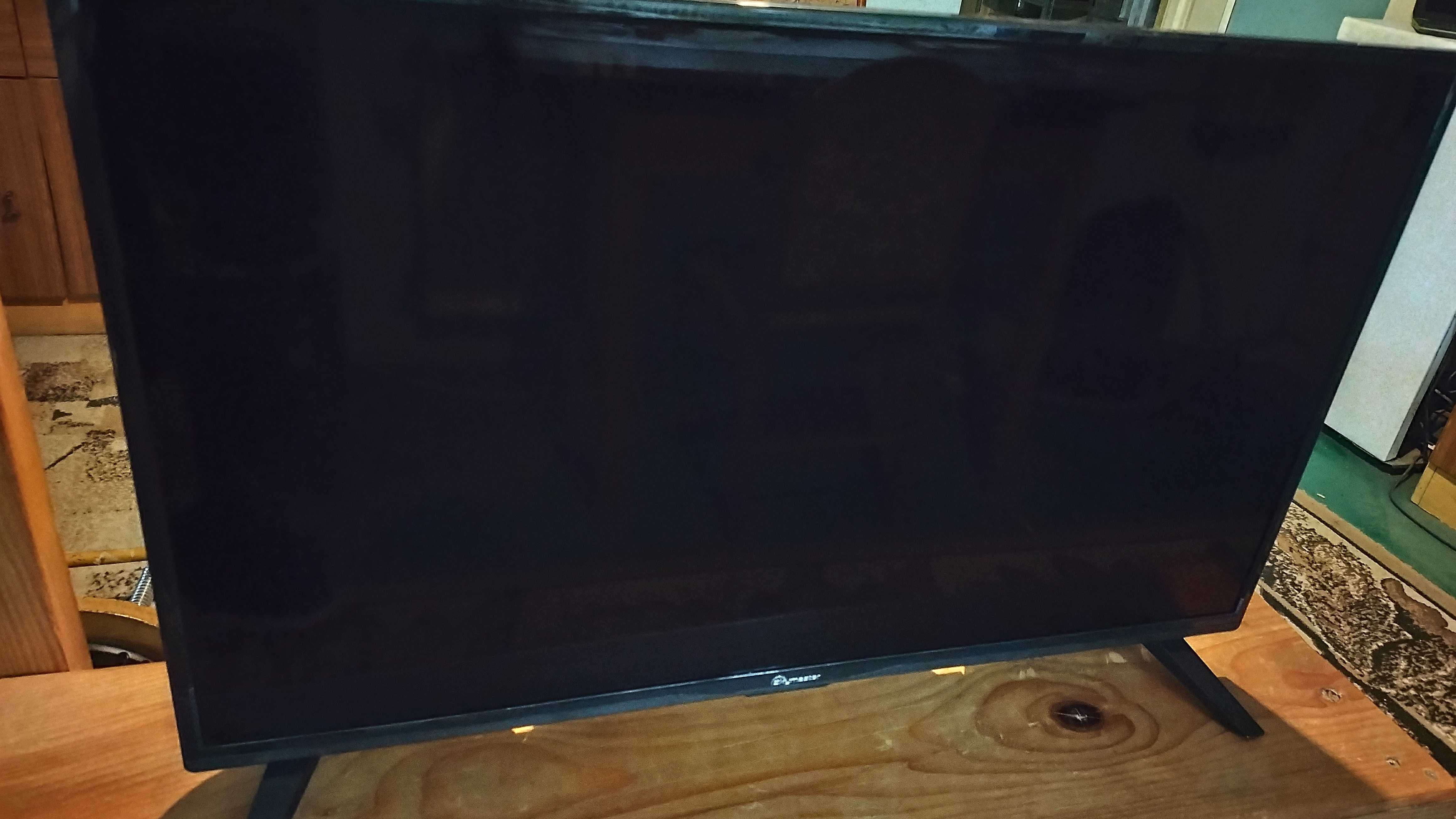 Telewizor Skymaster 32 uszkodzony dźwięk.