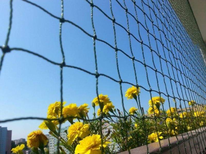 Siatka dla kota lub na gołębie na balkon / Warszawa
