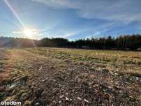 Sprzedam piękną działkę z WZ! 1500m2