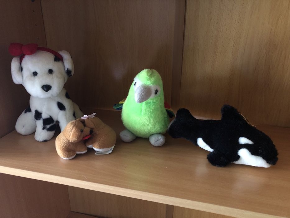 Toy Set for €164553259114113120