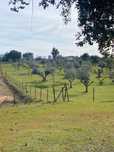 Terreno para aluguer
