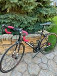 Шосейний велосипед TREK Domane 2014, Carbon