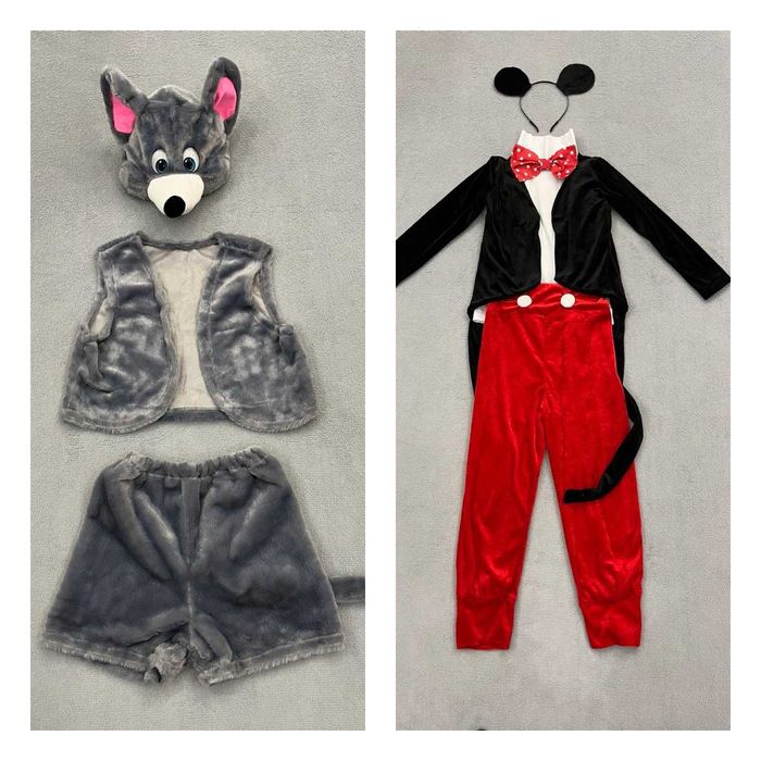 Карнавальні костюми звірят, лев, Їжачок, єнот, оренда, прокат -300грн