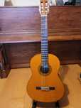 Gitara elektroklasyczna Yamaha CGX 102