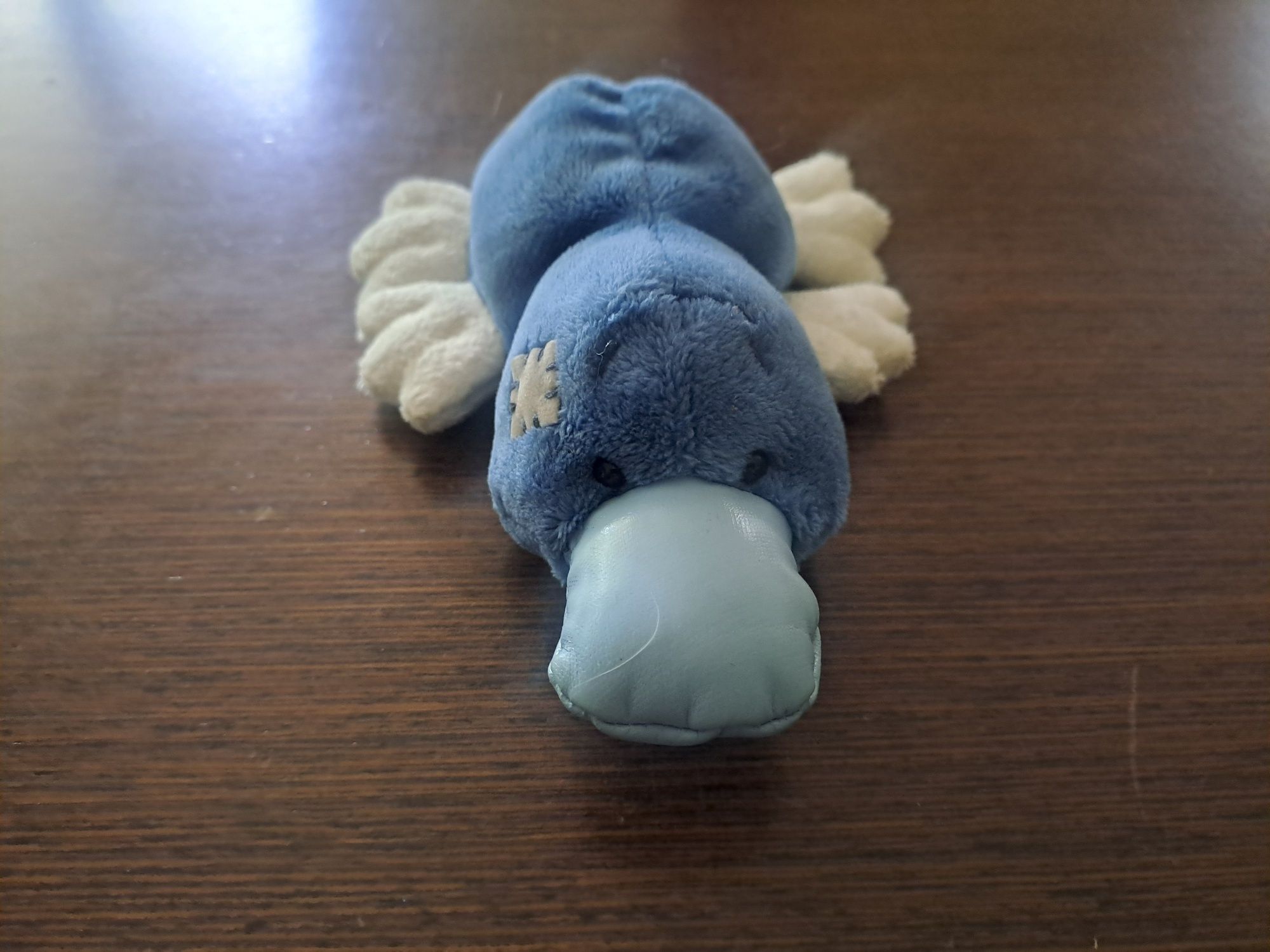 Maskotka dziobak Blue Nose