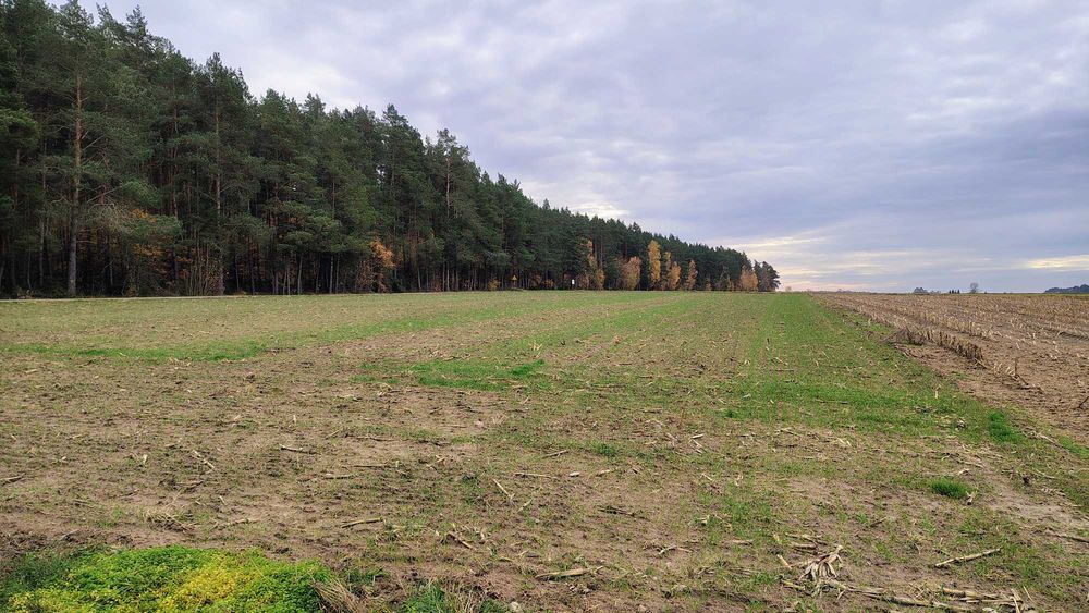 Wyjątkowa oferta – działka w malowniczej okolicy