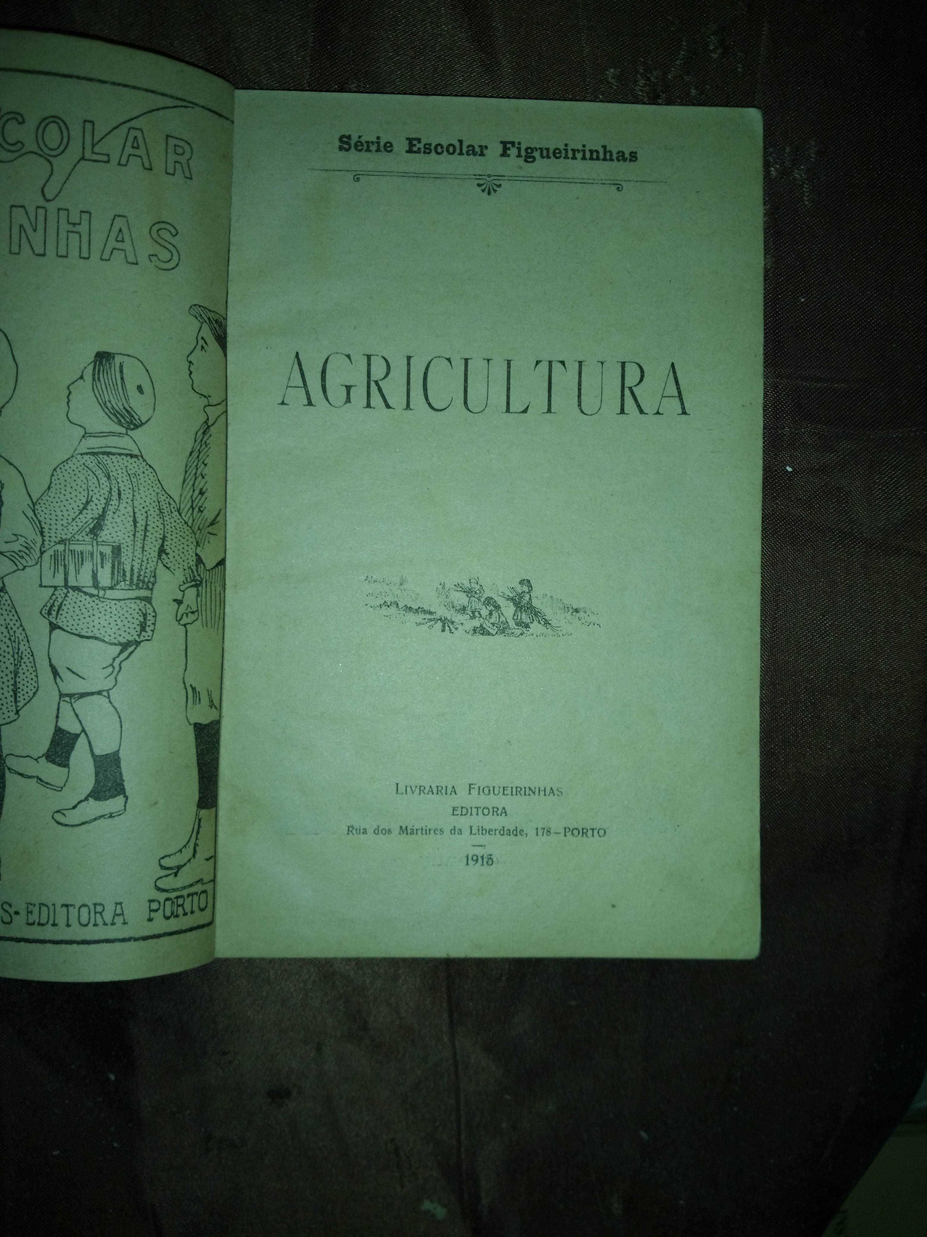 Agricultura - Ano de 1915