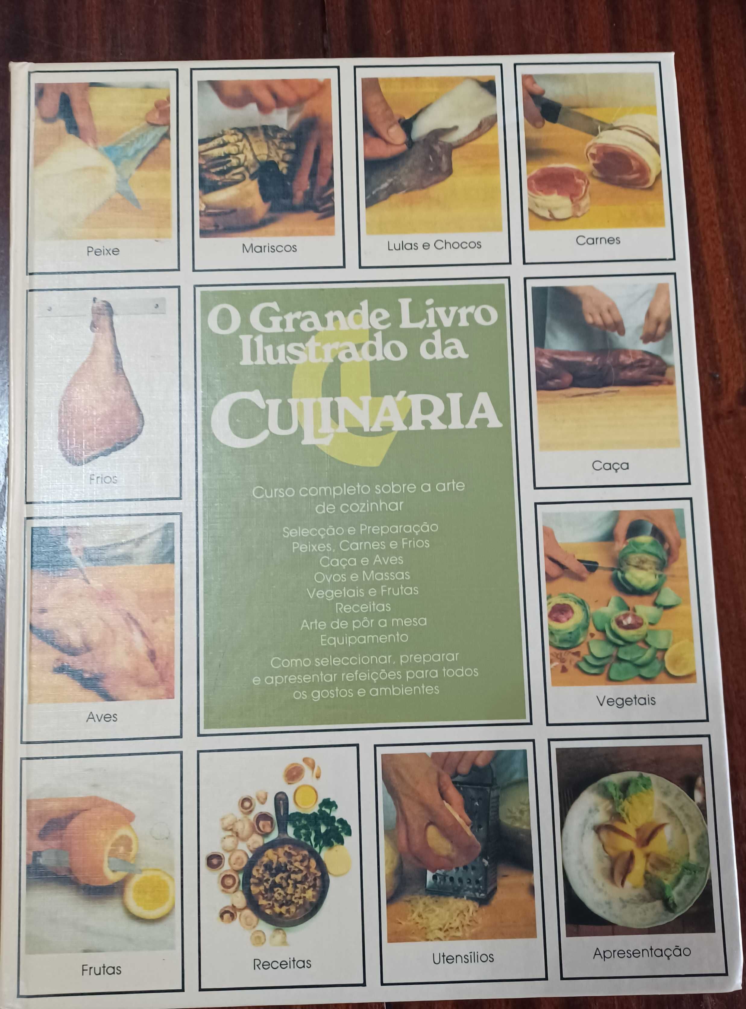 O grande Livro Ilustrado da Culinária.