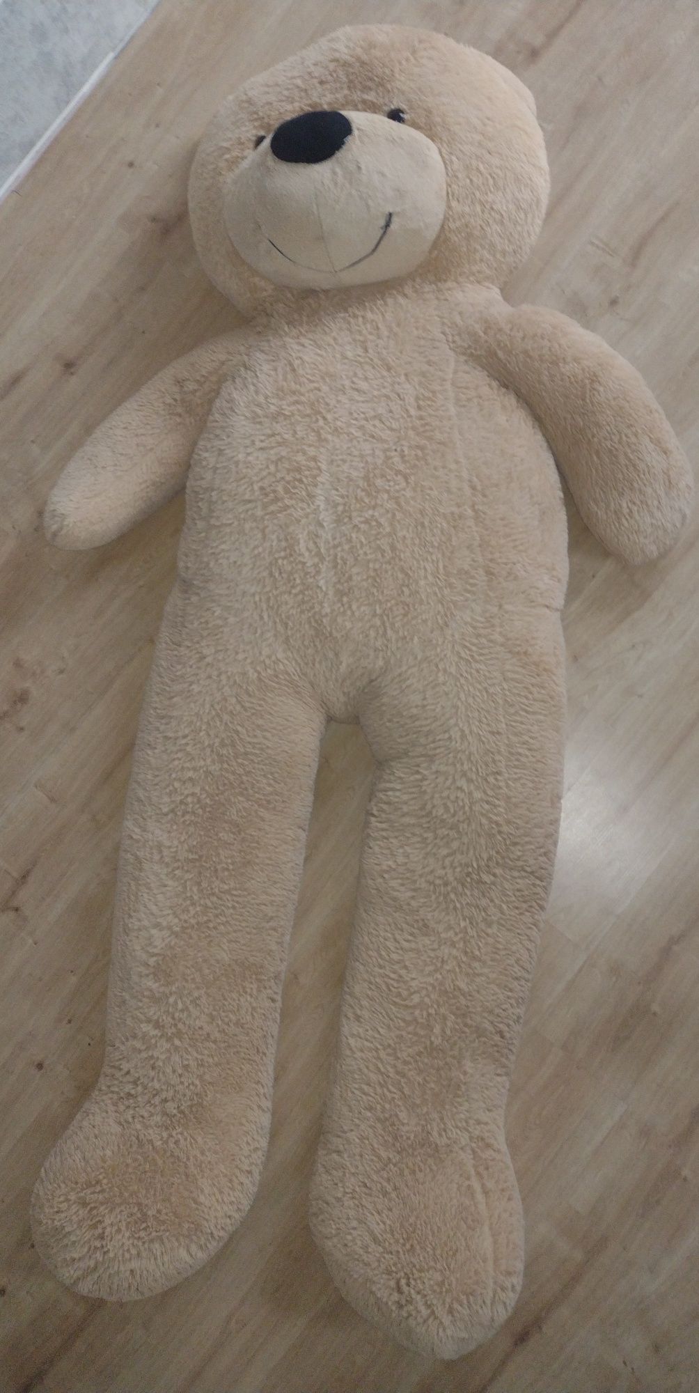 miś GIGANT 220cm