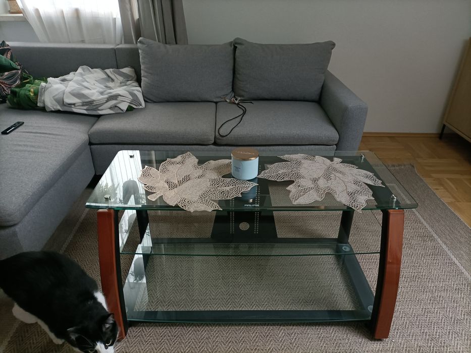 Szklany stolik pod telewizor