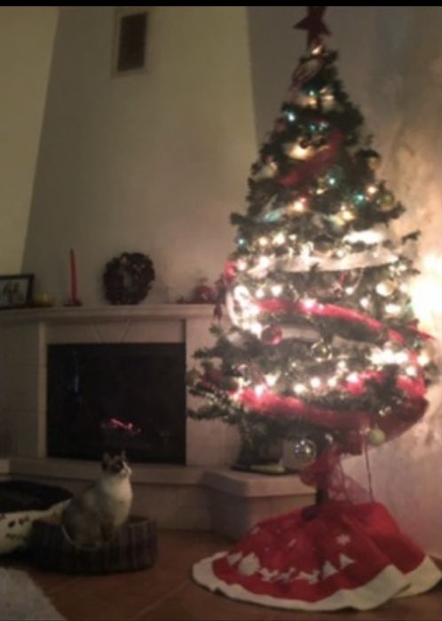 Árvore de Natal 180 cm – bem estimada