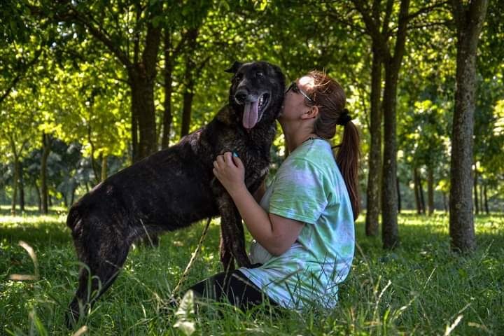 Spokojna sunia szuka kochającego Domku! Pokochasz Ją?