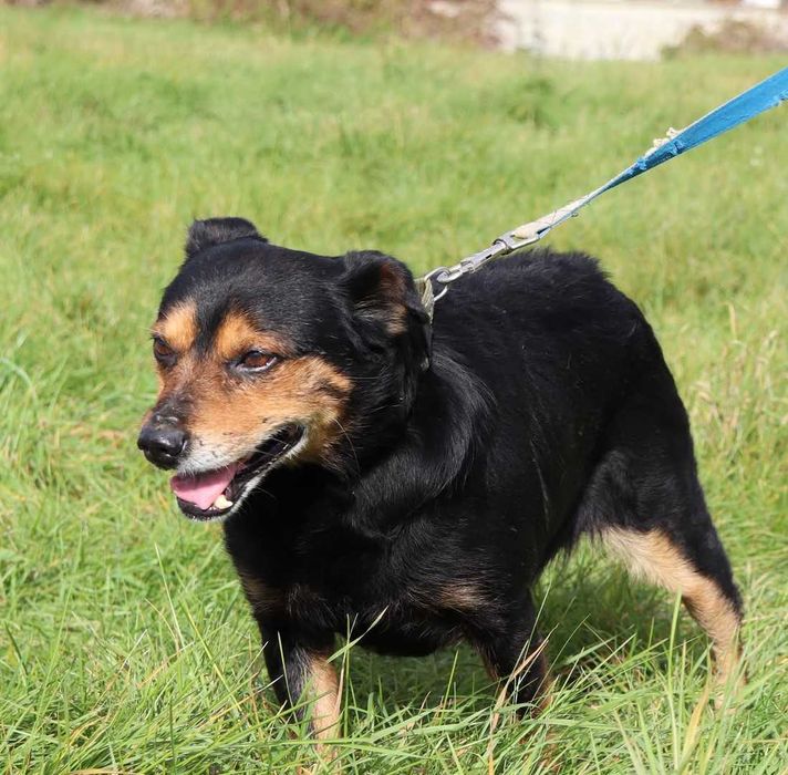 Atom – kochany senior pełen radości