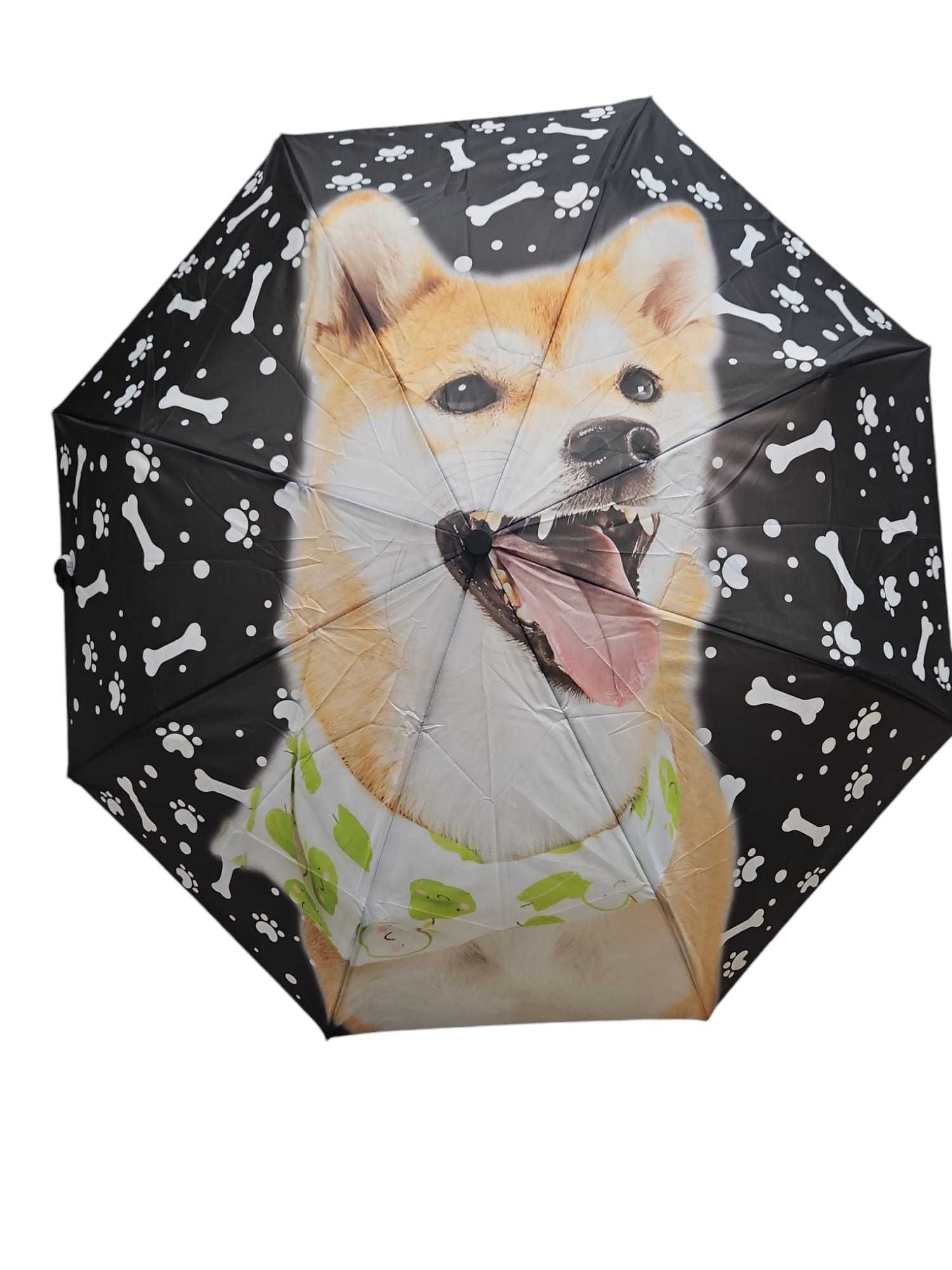 Parasolki/ parasole