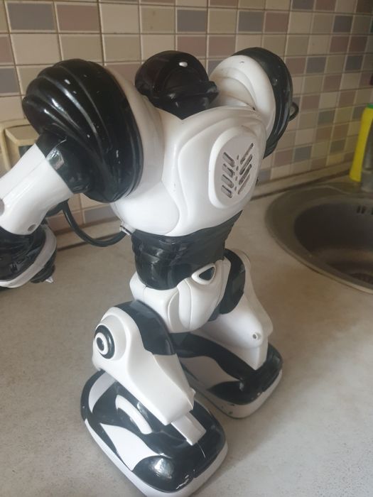 Інтерактивный Робот Wow