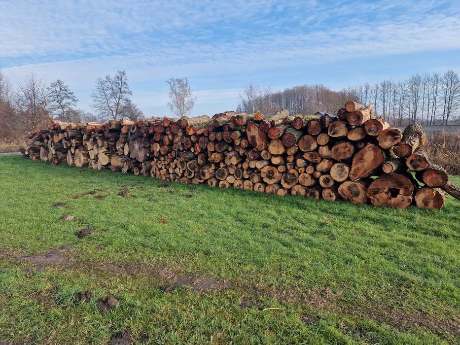 Drewno kominkowe w kłodzie MIX Jesion olcha brzoza topola osika tr.HDS